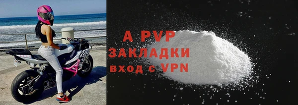 шишки Корсаков