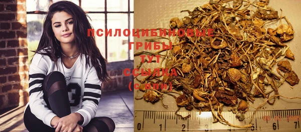 прущие крисы Коряжма