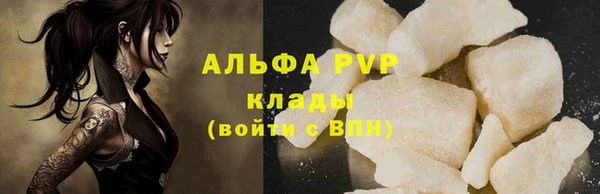 шишки Корсаков