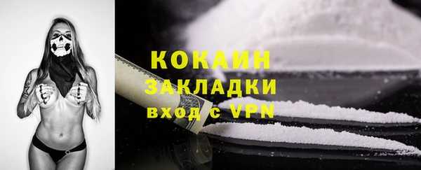 шишки Корсаков