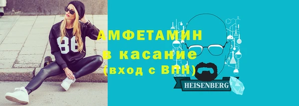 шишки Корсаков