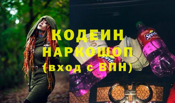 шишки Корсаков