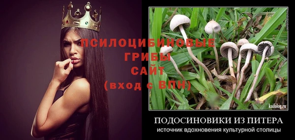 шишки Корсаков