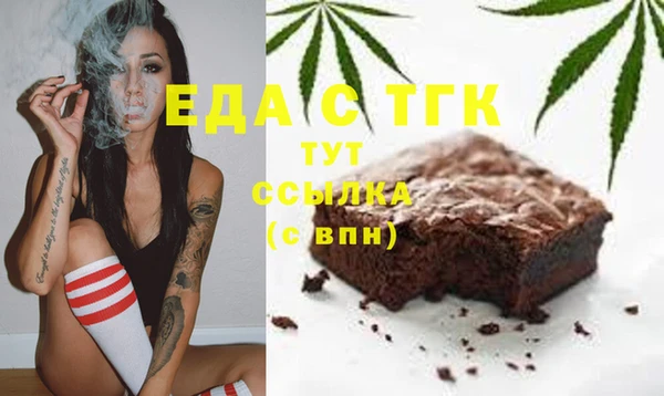 шишки Корсаков