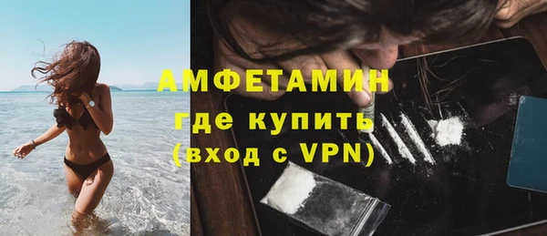 шишки Корсаков