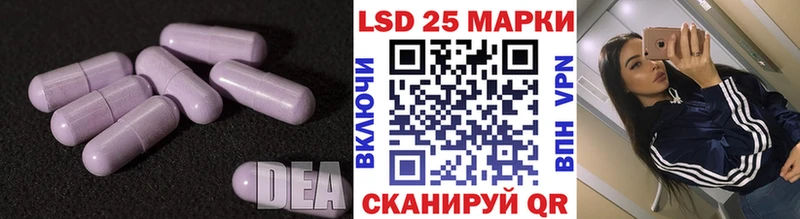 LSD-25 экстази кислота  продажа наркотиков  Шенкурск 