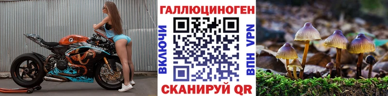 Псилоцибиновые грибы Psilocybine cubensis  цены наркотик  Шенкурск 